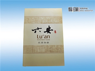 宣傳畫冊(cè)